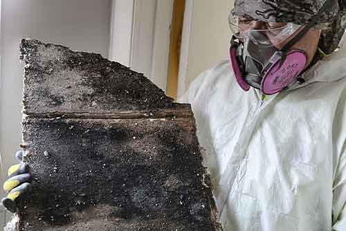 Mold exposure can lead to a variety of health problems