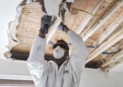 mold remediation dry out restorations