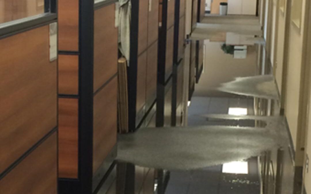 Water Damage Prevention Tips For Commercial Buildings