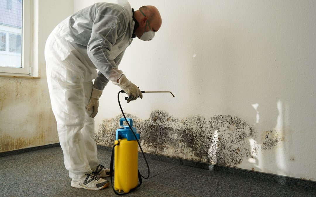 What is the difference between mold removal and mold remediation?