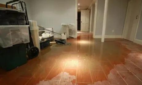 best water damage restoration services