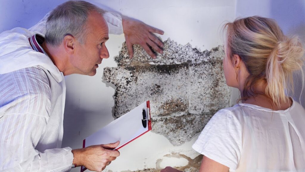 Affordable Mold Testing Services in Miami, FL​