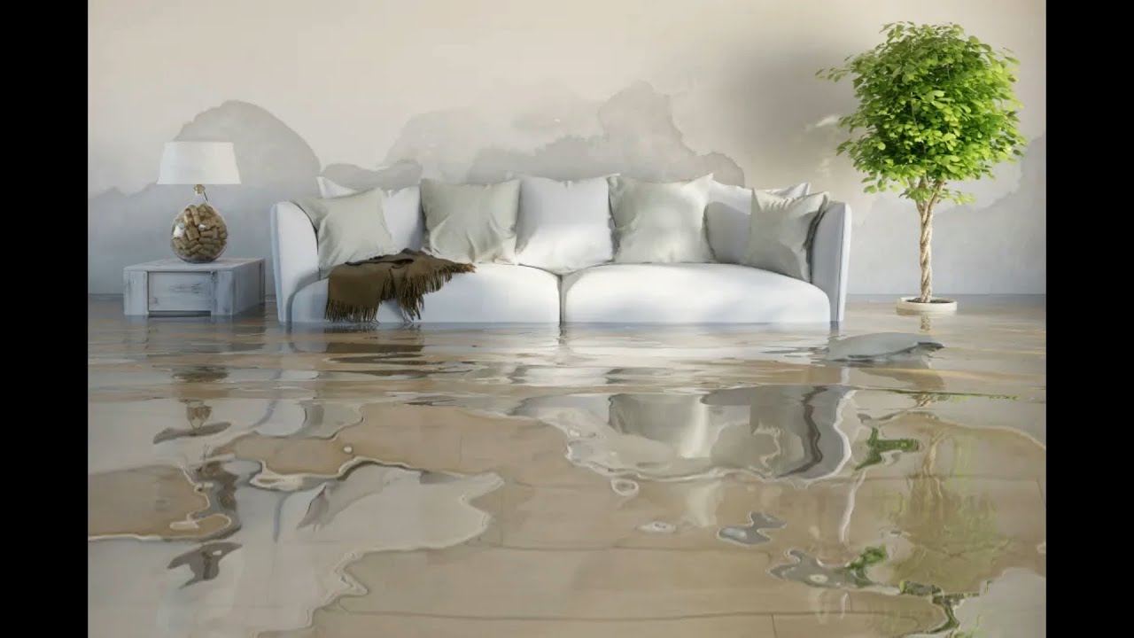 Water Damage Restoration in Miami, FL